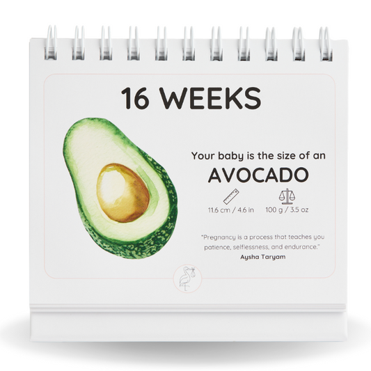 Gentle Pregnancy Bundle