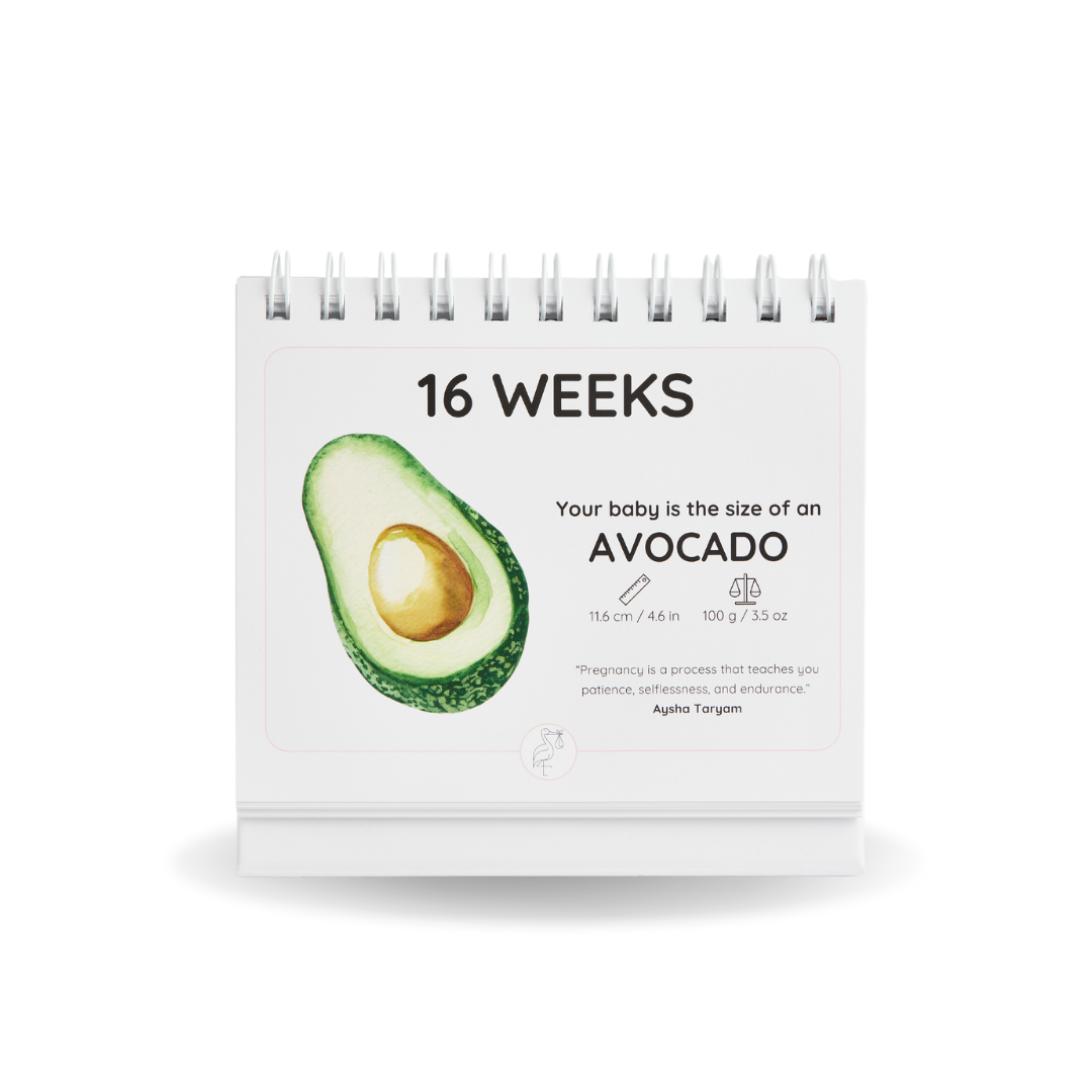 The Growing Miracle Pregnancy Calendar