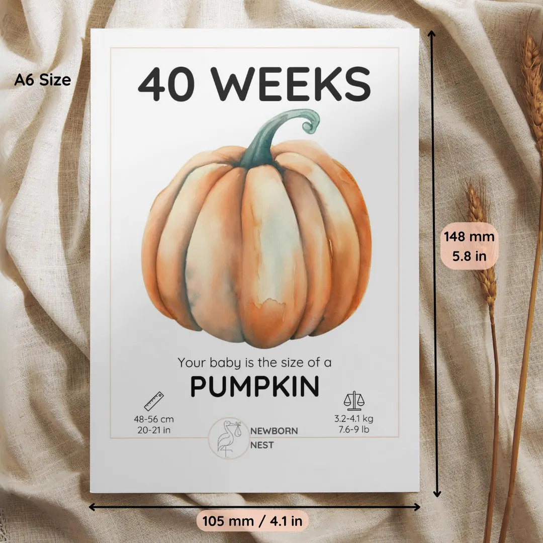 The Growing Miracle (Digital Download) Newborn Nest AU