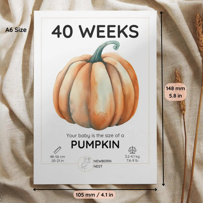 The Growing Miracle (Digital Download) Newborn Nest AU