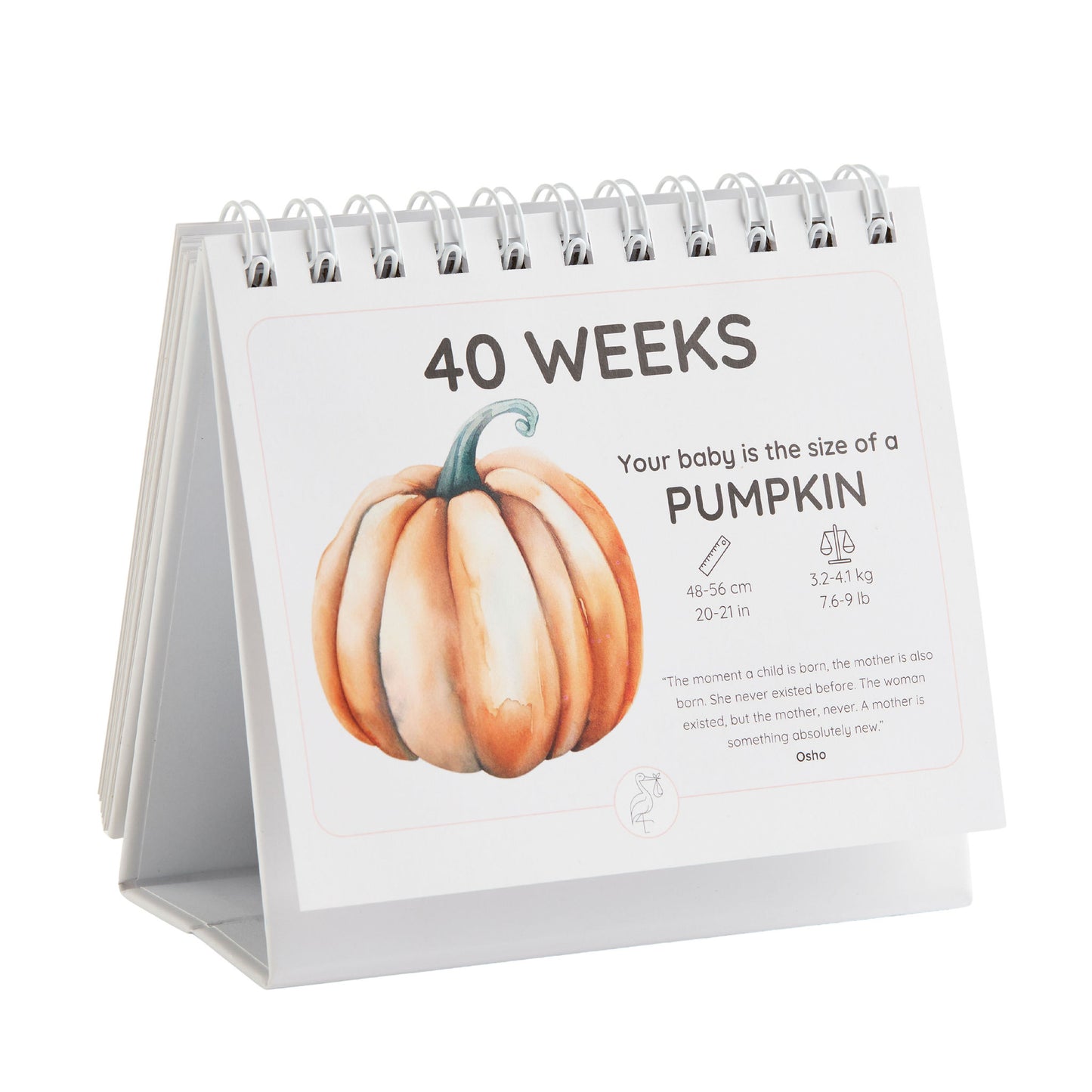 Pregnancy milestone calendar showing a pumpkin illustration and text.
