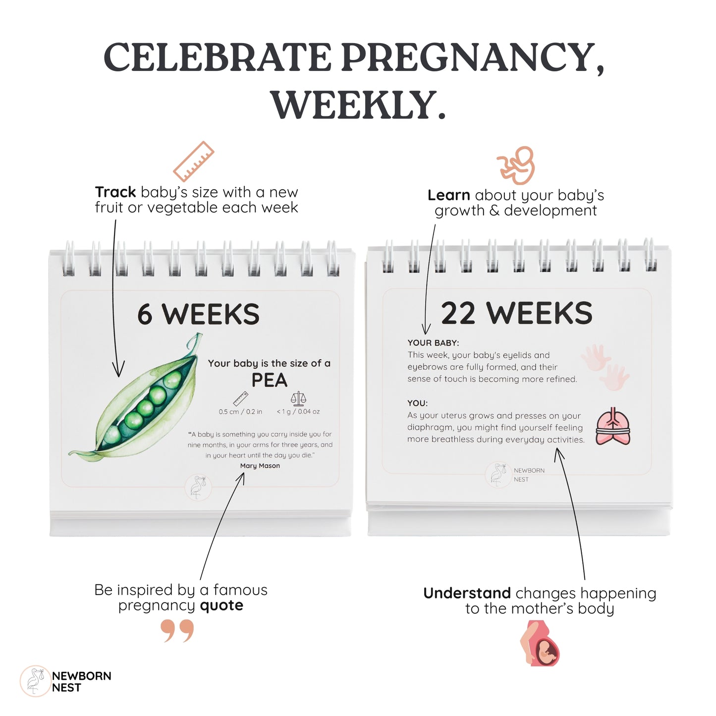 "The Growing Miracle" Pregnancy Flip Calendar