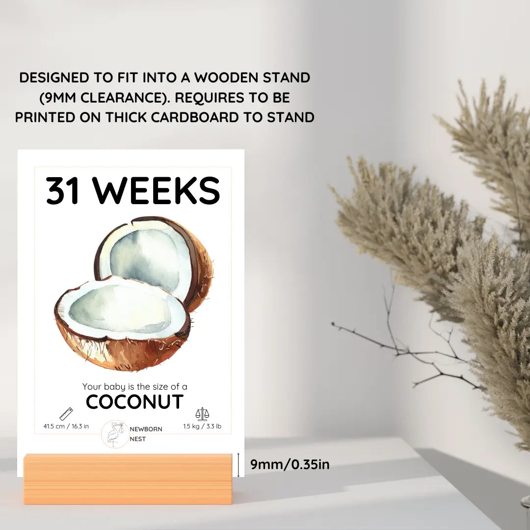 The Growing Miracle (Digital Download) Newborn Nest AU