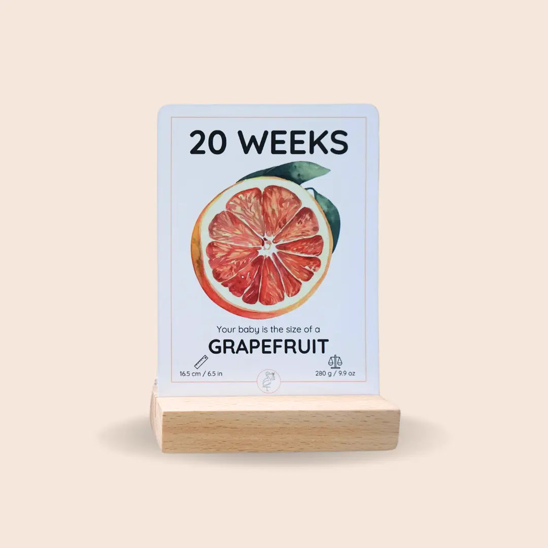 The Growing Miracle Pregnancy Calendar Newborn Nest AU