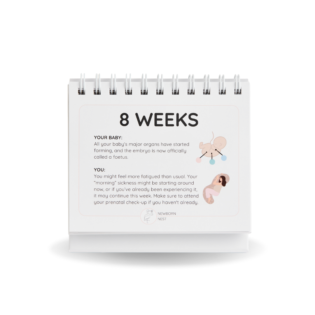 Calendar showing '8 Weeks' with baby development and pregnancy information on a white background