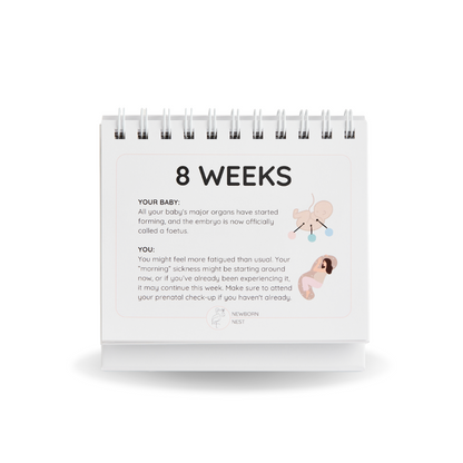 Calendar showing '8 Weeks' with baby development and pregnancy information on a white background