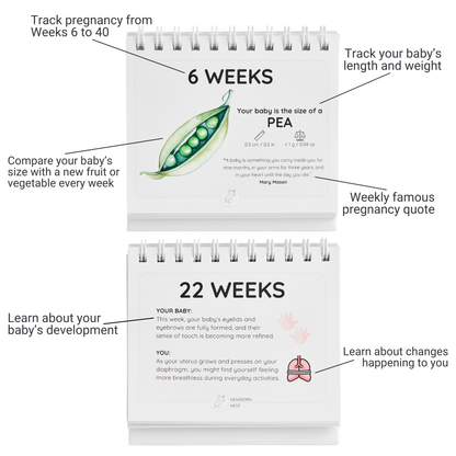 Pregnancy tracker with milestones for 6 and 22 weeks, showing baby's size and development.