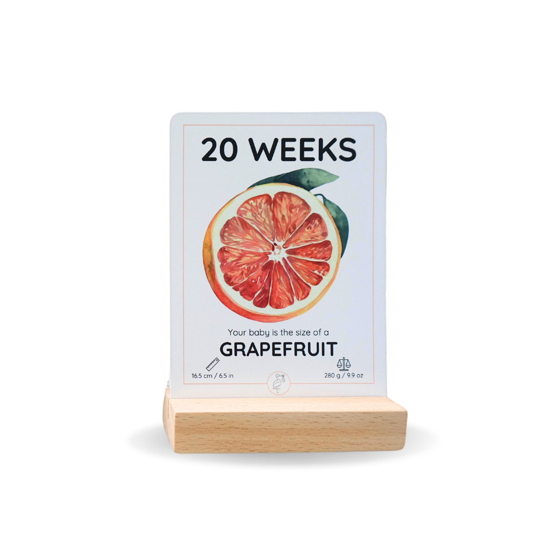 The Growing Miracle Pregnancy Calendar