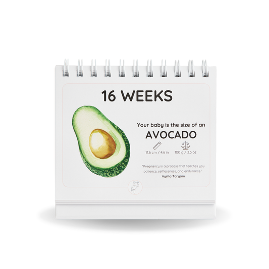 The Growing Miracle Pregnancy Calendar