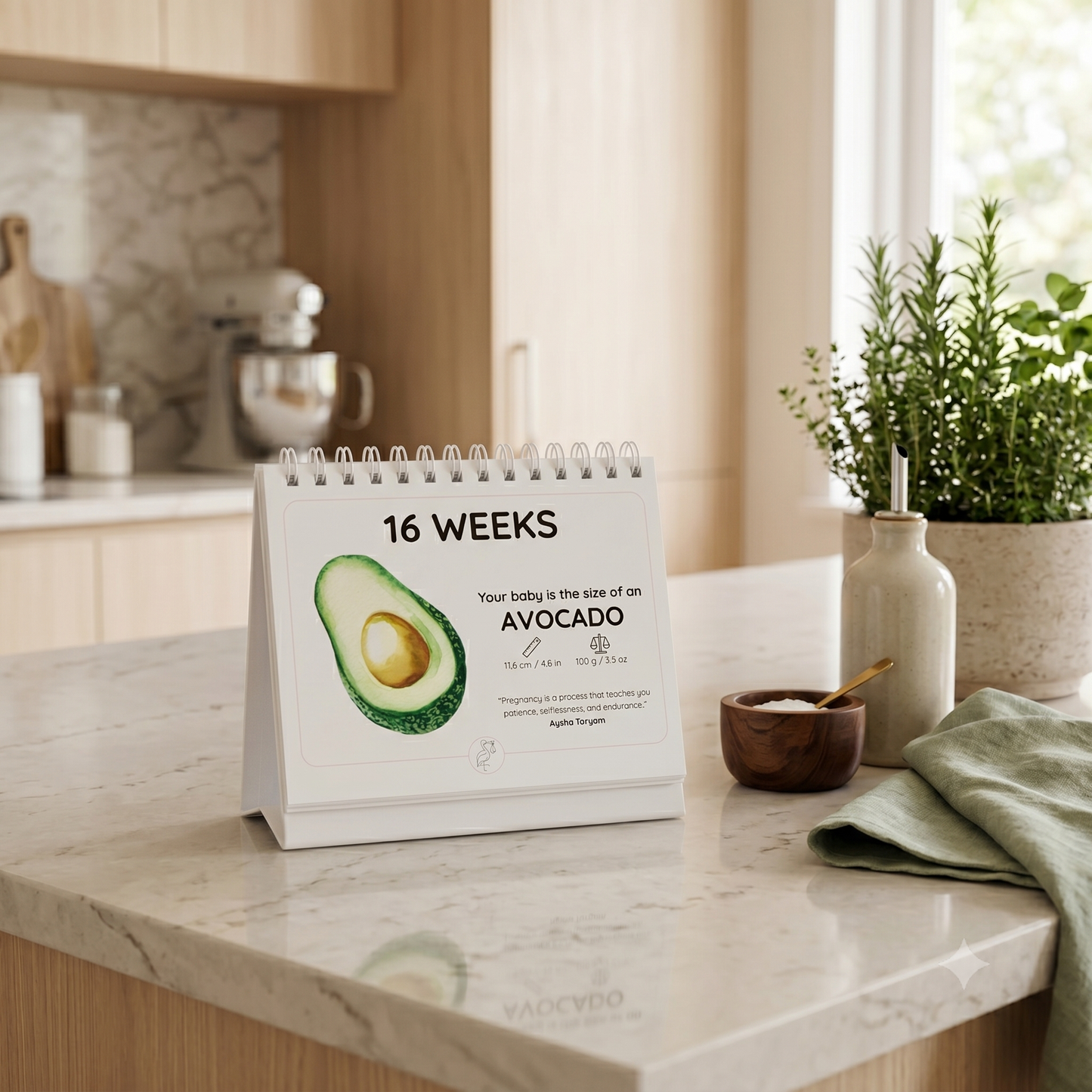 Pregnancy Calendar showing 16 weeks孕期 with avocado illustration on a kitchen counter
