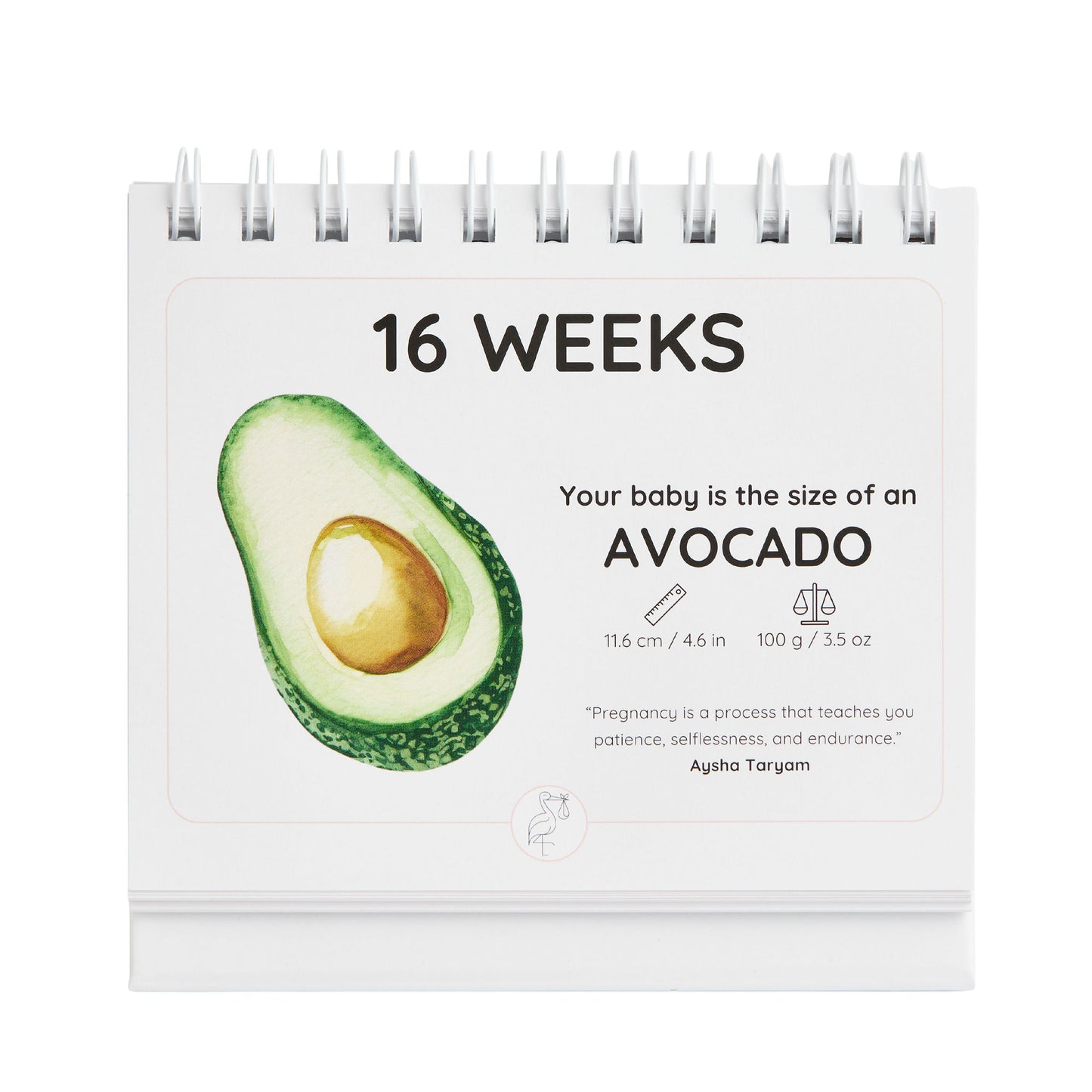 Pregnancy calendar showing an avocado at 16 weeks with text and an avocado illustration.