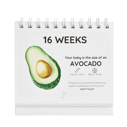 Pregnancy calendar showing an avocado at 16 weeks with text and an avocado illustration.