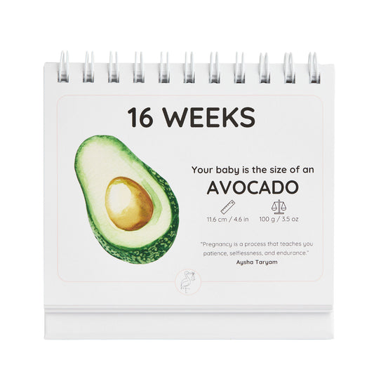 Pregnancy calendar showing an avocado at 16 weeks with text and an avocado illustration.