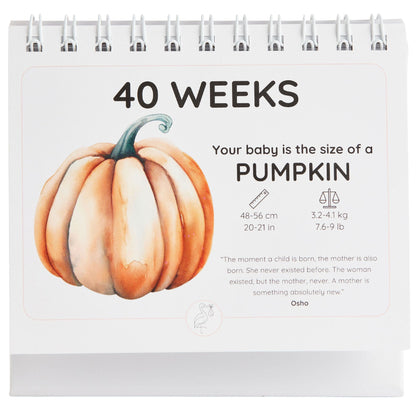 The Complete Pregnancy Bundle