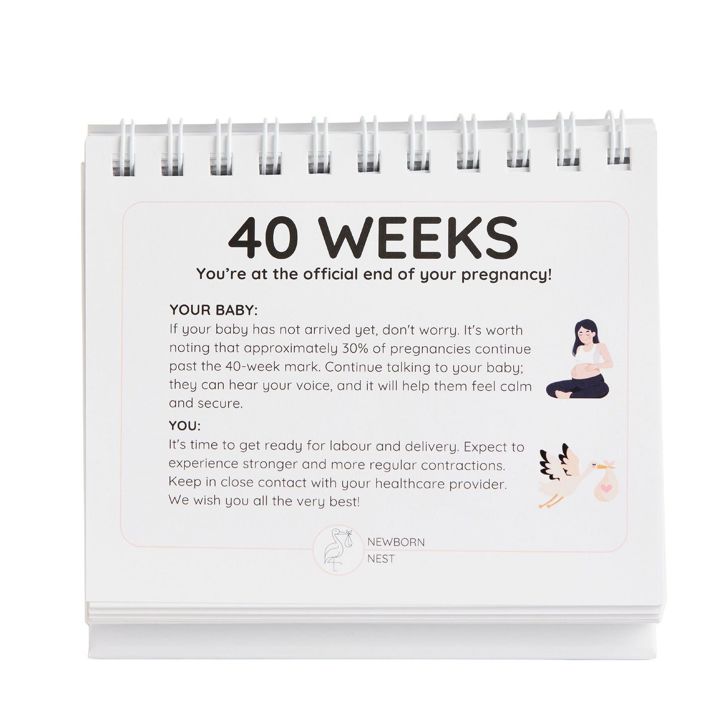 The Complete Pregnancy Bundle