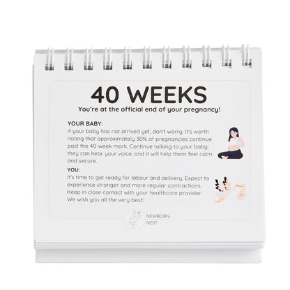 The Complete Pregnancy Bundle